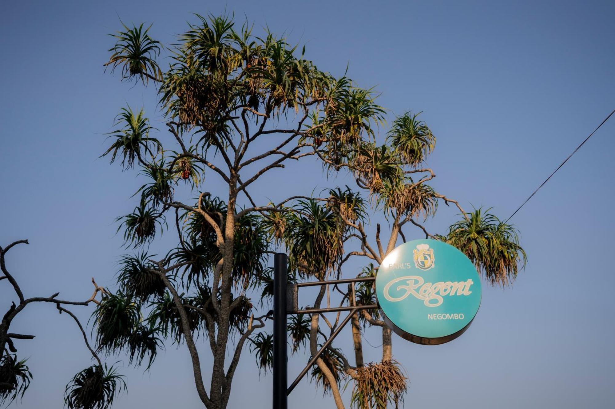 Earl'S Regent Negombo Hotel ภายนอก รูปภาพ